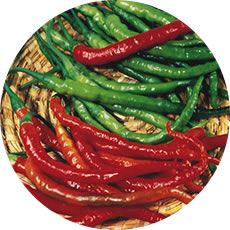 PIMENT FORT CAYENNE LONG SLIN